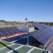 三井住友建設、太陽光発電の施設園芸への利用実証試験