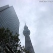 東京スカイツリー（5月22日、開業初日）