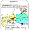 今回の取り組み