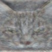 Googleが発表した猫の画像