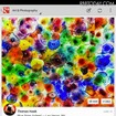 「タブレット向けGoogle＋」ではより大きな画像表示が可能