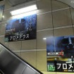 人類の起源は東京の表参道?!
