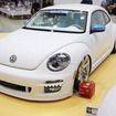 Alpil The Beetle-RS