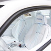 Alpil The Beetle-RS