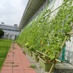ブリヂストン 栃木工場