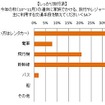 主に利用する交通手段（しっかり旅行派）