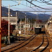 秩父鉄道 大野原駅付近