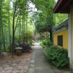 杭州　日本茶の原点を見に行く　（7）　杭州　径山寺と茶