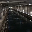 公開実験は海上技術安全研究所内の中水槽（全長150m）で行われた。施設内にはさらに大きな全長400mの水槽もあるという。
