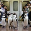 近鉄・ペンギン列車