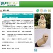 国際博物館の日記念セミナー「上野の山でサルめぐり」