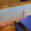 東京スカイツリーの四季が描かれた車内壁面