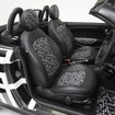 布袋寅泰とMINIのコラボレーションモデル