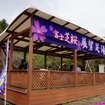芝桜と富士山の競演、ゴールデンウィークに見頃