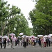 2012年の東京傘開きの様子