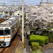 JR東海エリアの東海道本線で運用されている普通列車用の313系。