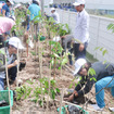 豊田合成、タイでの植樹会