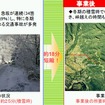 国道120号椎坂バイパス