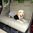 座面がフラットで犬も安定して乗っていられる（走行中は、ケージ、犬用シートベルトなどの安全装置が不可欠だ）