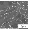 スーパーホット-Gのミクロ組織（球形化焼鈍後）