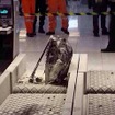 チェックインカウンターでかばん炎上　バンコク空港