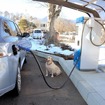 充電スポットのある富士河口湖町役場はホテルから10分ほど