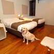 宿泊したデラックスルームCタイプの室内