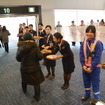 JAL ひなまつりフライト