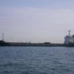 海上保安庁、2013年の密輸・密航取締り状況を公表