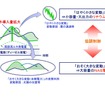 ハイブリッド蓄電池システムによる出力変動の調整イメージ