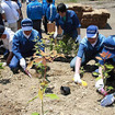 昨年の植樹祭