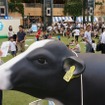 東京六本木に牧場が登場、酪農の魅力を発信した