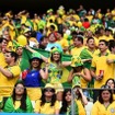 2014年FIFAワールドカップブラジル大会　