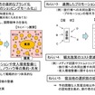 関東観光広域連携キャンペーンのねらい