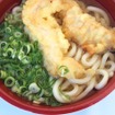 大和肉天ぷらうどん（奈良県／ハヤキ亭）