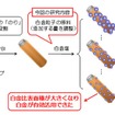 九州大学と科学技術振興機構、白金粒径と密度の低減による白金表面有効活用する技術を開発