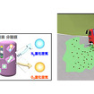 窒素富化空気（NEA）システム