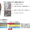 特許取得の防滑ソール「3Dスペラン」