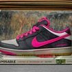 ショーン・クライヴァーの名作の出版10周年を記念にインスパイアされたNike Dunk LOW Premium SB