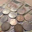 インドルピー（資料画像）
