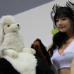 【G-STAR 2014】韓国美女だけじゃない。釜山からコンパニオンさんの写真をお届け！