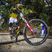 選手の技術向上とMTBシーンの発展を願う奉納競技　レッドブル・ホーリーライド