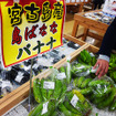 宮古島に来たら「にんにくやパイン、バナナ、たまねぎなどの特産を味わって」と下地市長