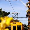 3月14日のダイヤ改正では、一部の列車で時刻の変更を実施。運行本数は現状を維持する。