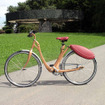 フィオラバンティの自転車『チクレオ』、年内に生産へ