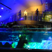 すみだ水族館に登場した、光と音楽とペンギンの新展示「ペンギンキャンディ」（3月21日～7月17日）。3月19日のオープニングイベントには動物好きな森泉も登場。ペンギンを抱き「連れて帰りたい！」と笑った