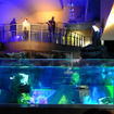 すみだ水族館に登場した、光と音楽とペンギンの新展示「ペンギンキャンディ」（3月21日～7月17日）。3月19日のオープニングイベントには動物好きな森泉も登場。ペンギンを抱き「連れて帰りたい！」と笑った