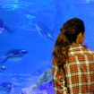 すみだ水族館に登場した、光と音楽とペンギンの新展示「ペンギンキャンディ」（3月21日～7月17日）。3月19日のオープニングイベントには動物好きな森泉も登場。ペンギンを抱き「連れて帰りたい！」と笑った