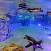 すみだ水族館に登場した、光と音楽とペンギンの新展示「ペンギンキャンディ」（3月21日～7月17日）。3月19日のオープニングイベントには動物好きな森泉も登場。ペンギンを抱き「連れて帰りたい！」と笑った