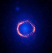 アルマ望遠鏡（オレンジ）とハッブル宇宙望遠鏡（青）で観測したSDP.81